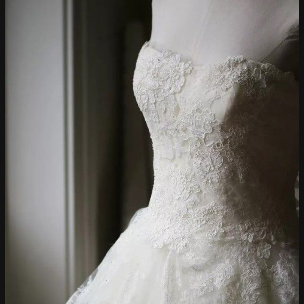 Vera Wang Luxe Embellished Lace and Tulle Wedding Dress